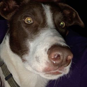 Meet your Posher, Derek